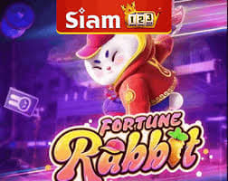 melhor horario para jogar fortune rabbit ícone